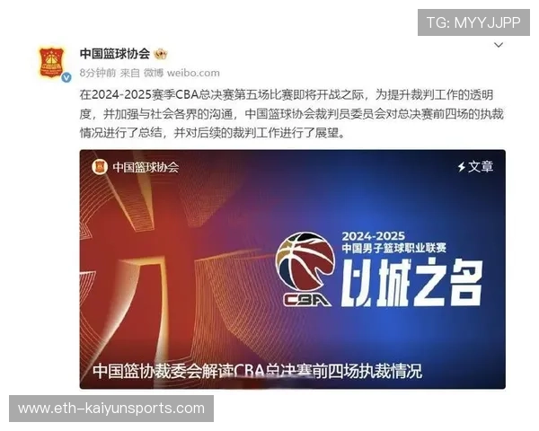 中国篮球裁判职业发展路径与瓶颈分析,中国篮球职业裁判员 中国篮球裁判职业发展路径与瓶颈分析,中国篮球职业裁判员