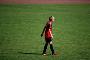 开云体育下载官网-中国足球俱乐部青训营技术指导持续加强，中国足球青训机构